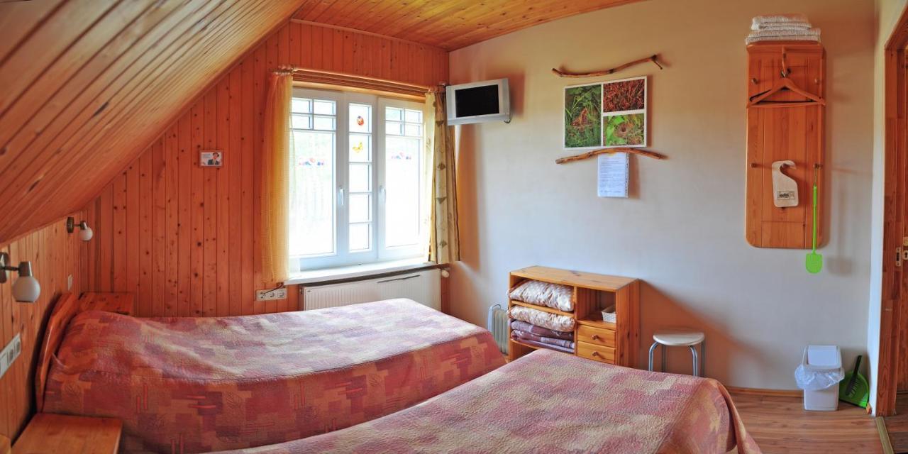 Guesthouse Leiputrija Адажи Экстерьер фото