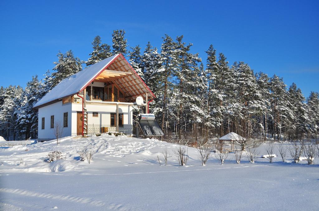 Guesthouse Leiputrija Адажи Экстерьер фото